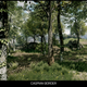 Illustration for article titled There Are emBattlefield 3/em Screenshots, and There Are emBattlefield 3/em Screenshots